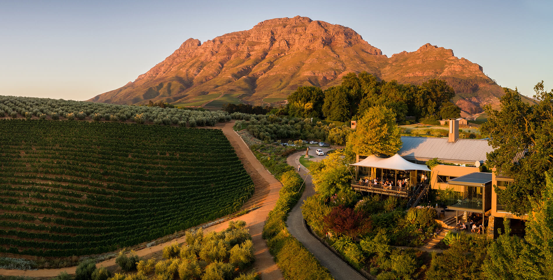tokara vineyard south africa sydafrika