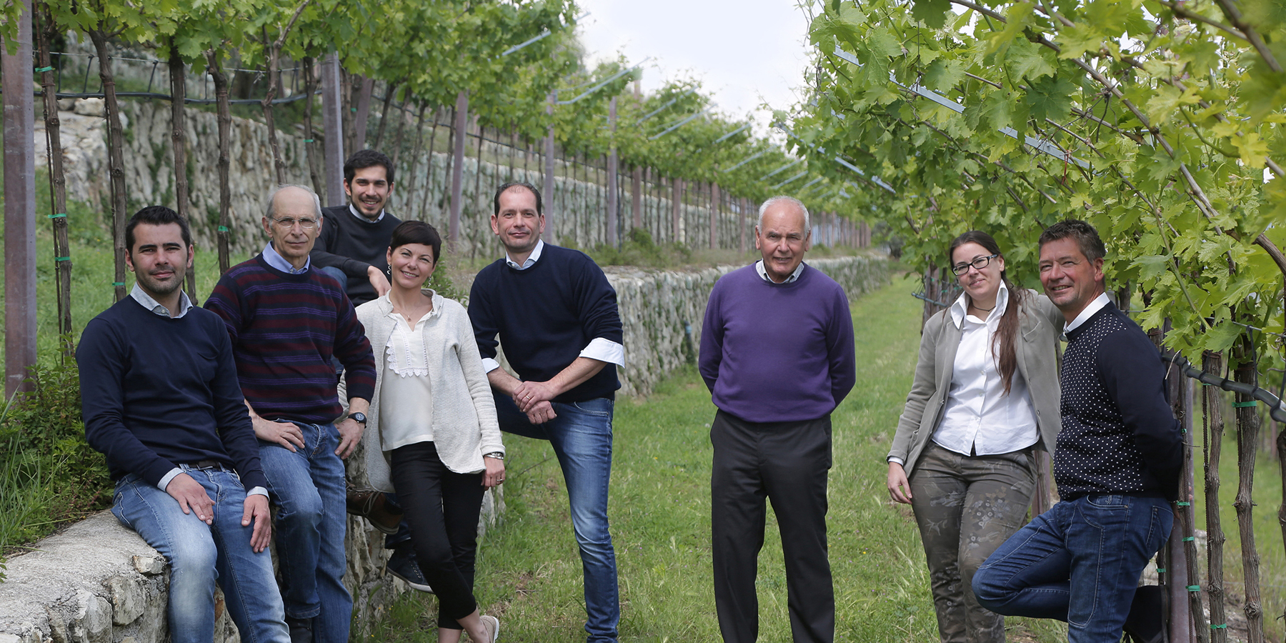 familjen speri i vingården