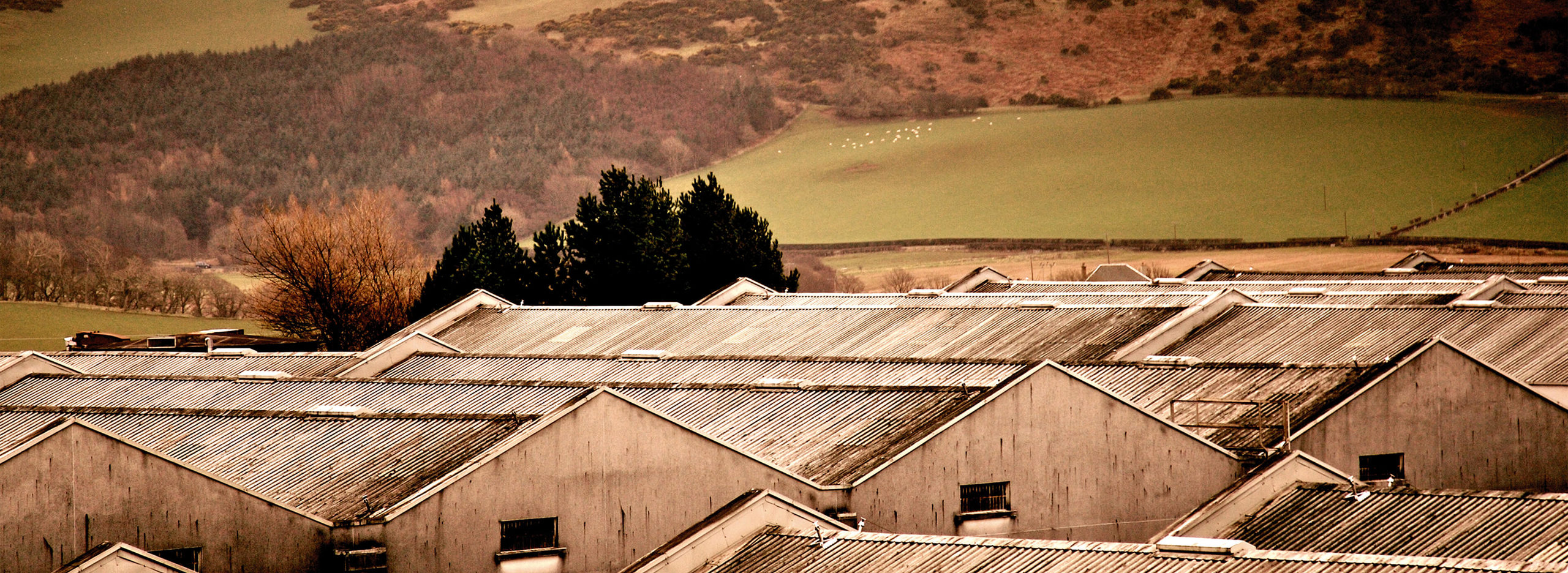 William Grant and sons – destilleriet Girvan, med ett landskap bakom.