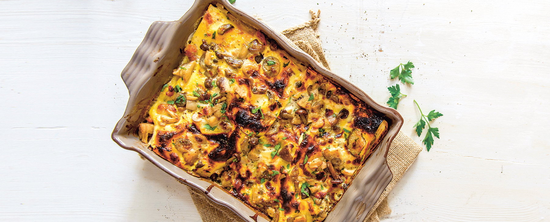 pasta med ost lasagne