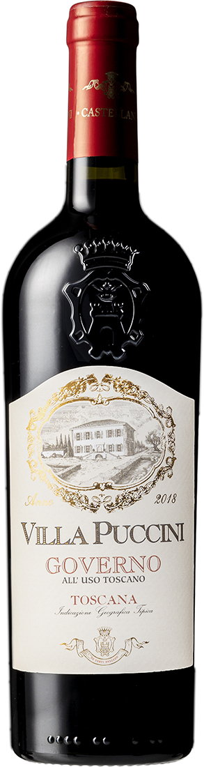 villa puccini governo