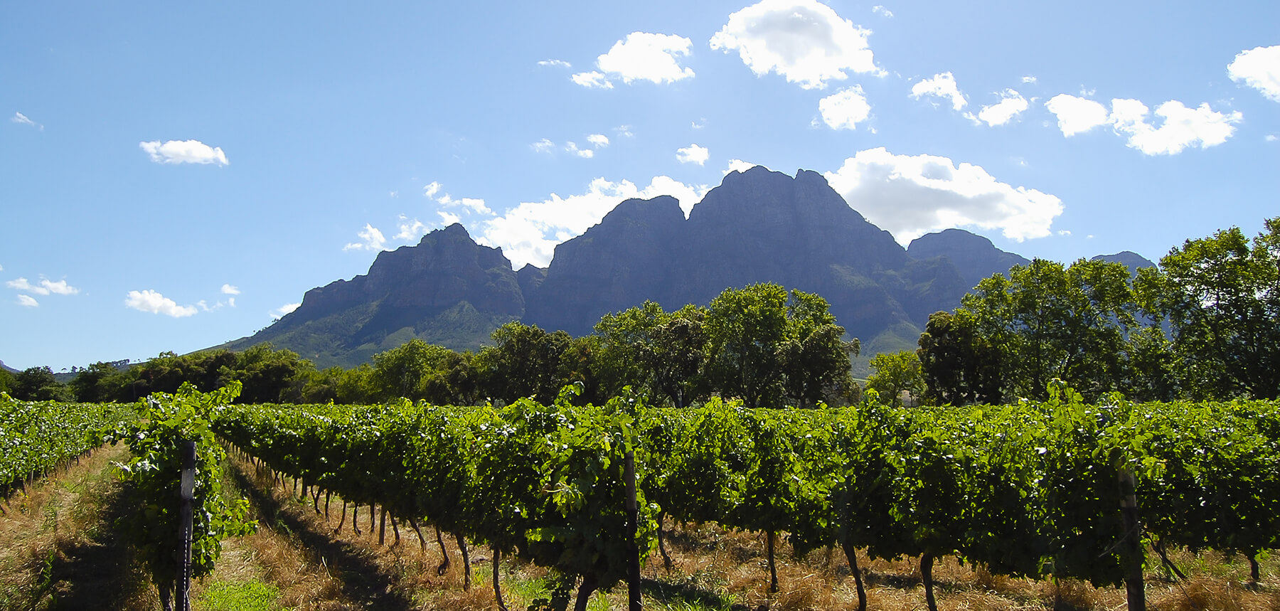 stellenbosch sydafrika