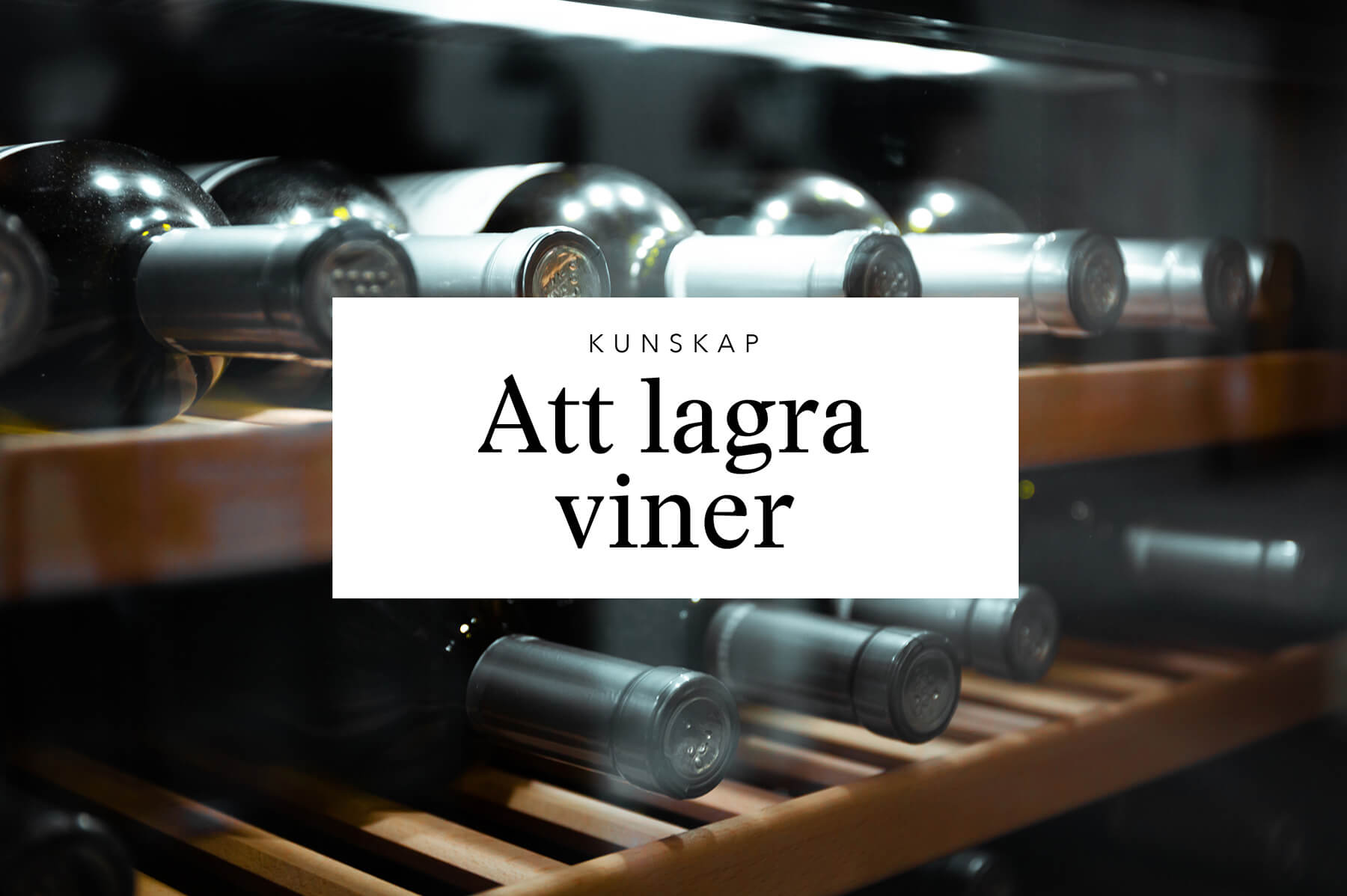 hur man lagrar vin och vilka