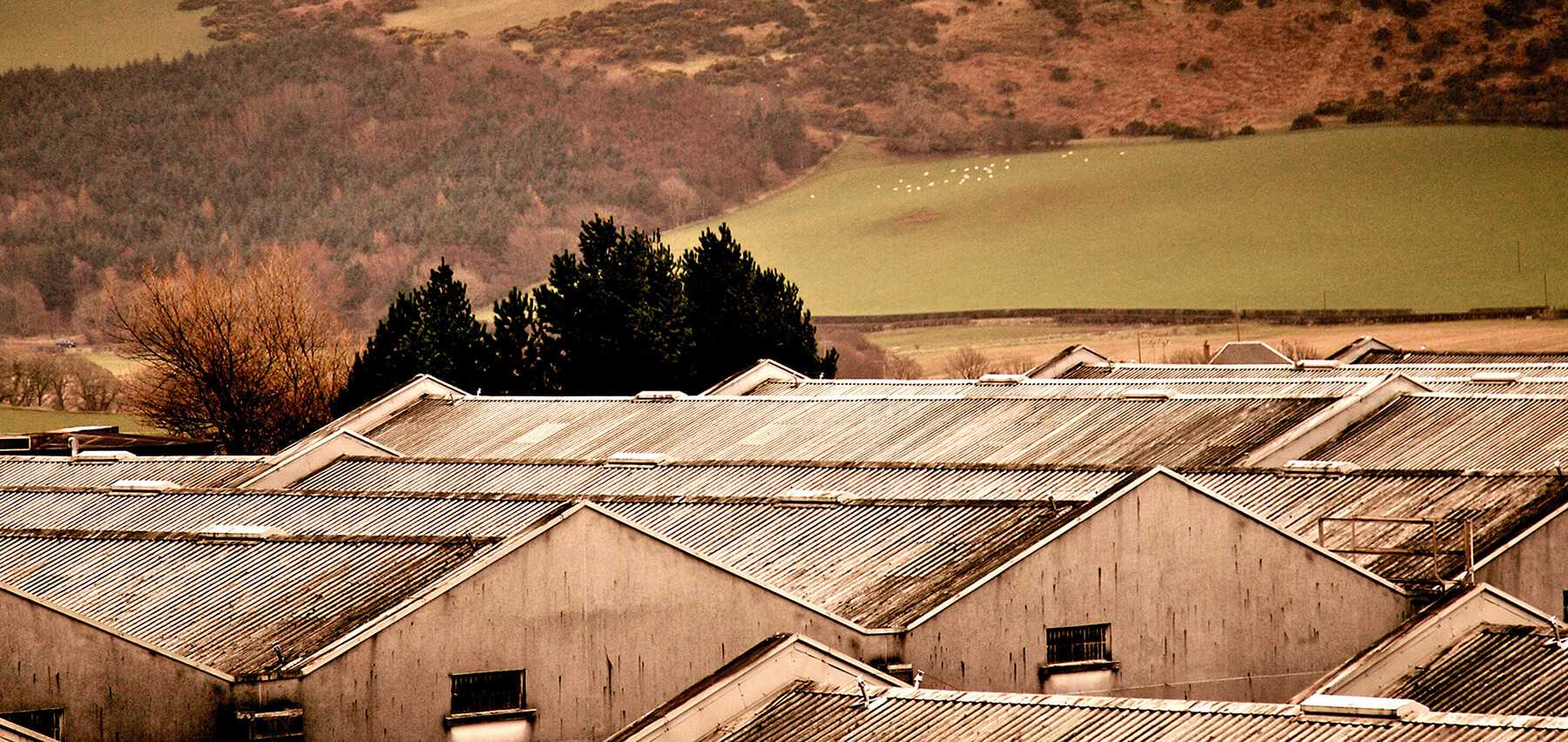 grants whisky destilleri i skottland