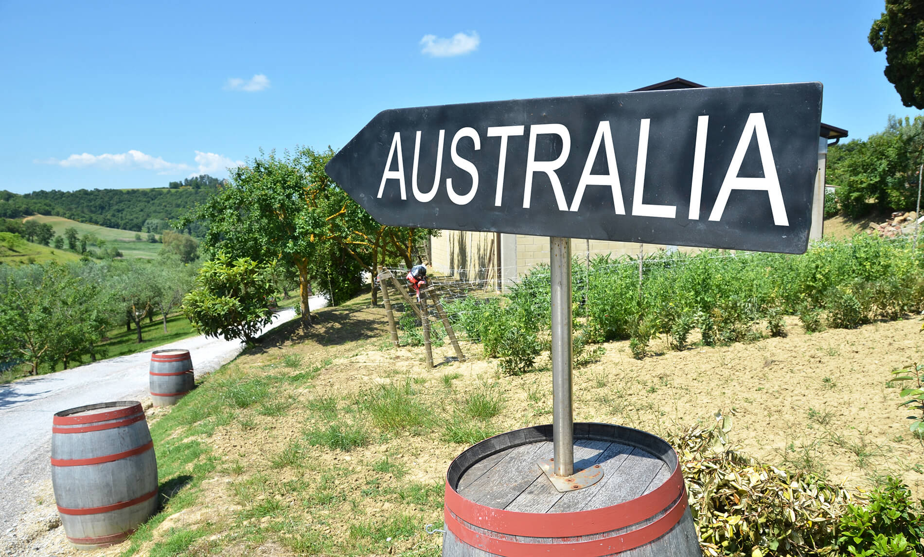 allt om vinlandet australien