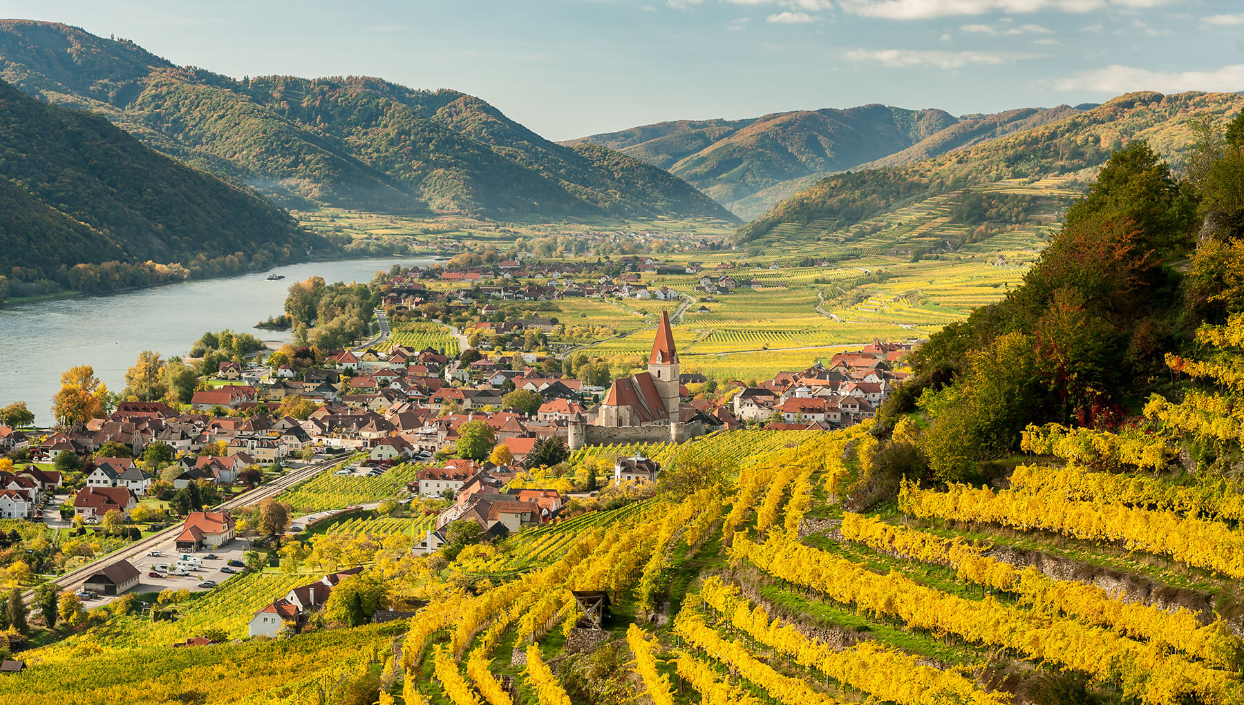 om vinlandet österrike