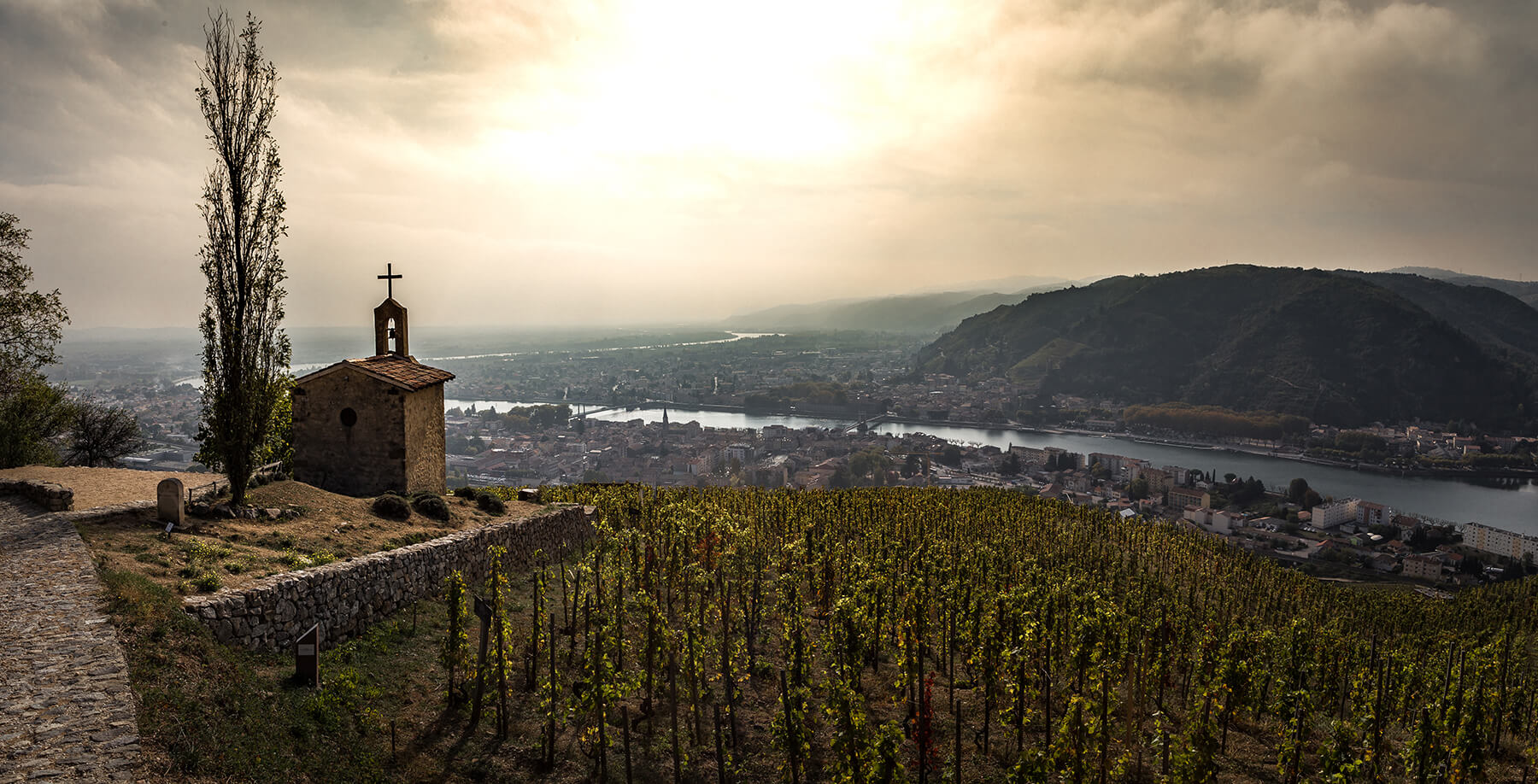 rhone_vingard_dal_flod