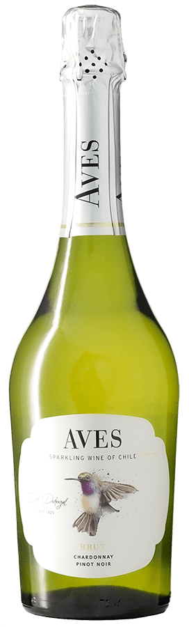 en flaska aves del sur mousserande vin