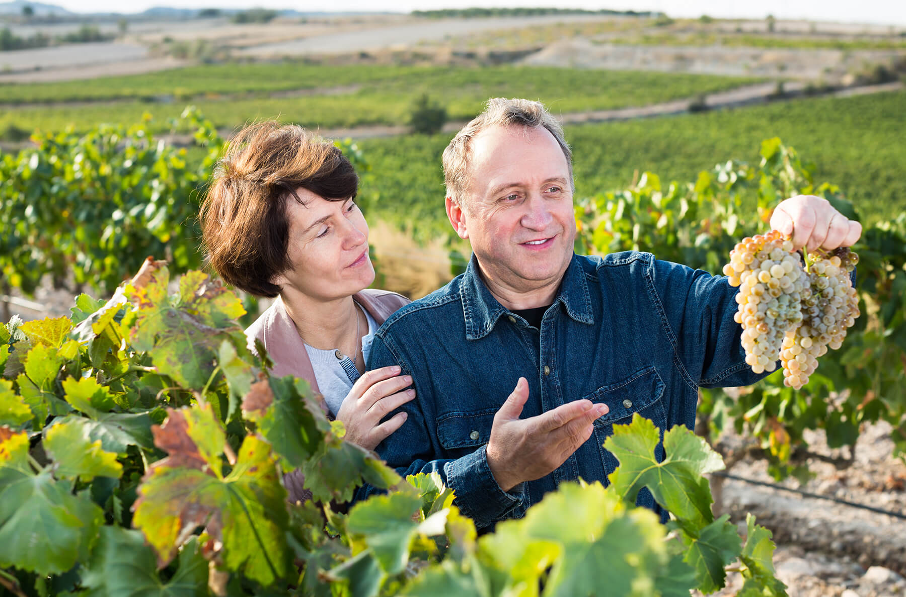 man och kvinna som står i en vinodling