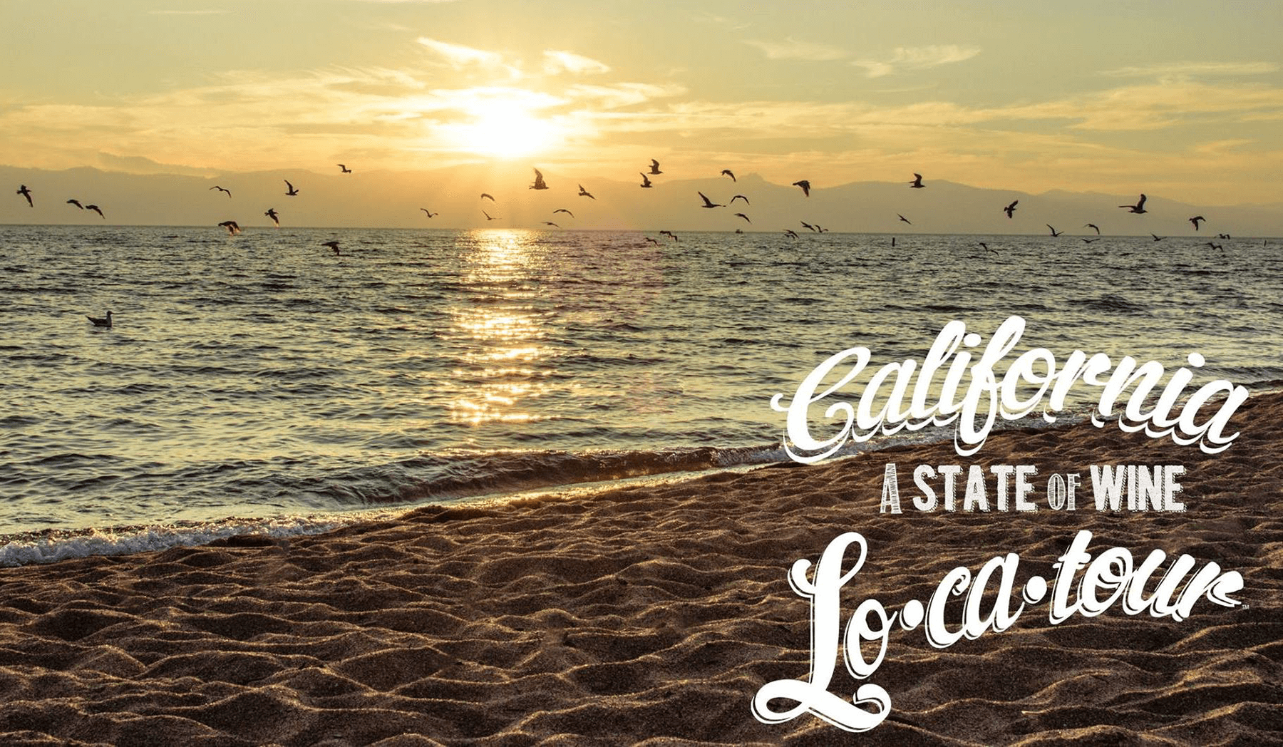 en strand i californien med logga och vin