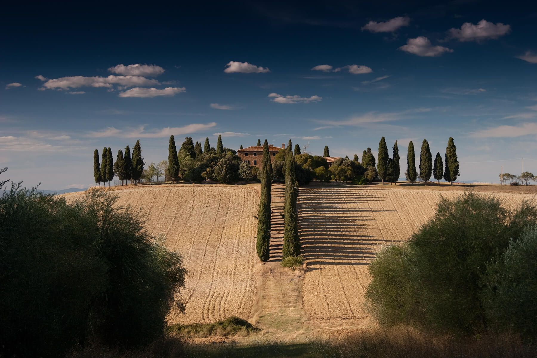 fält och gård i toscana
