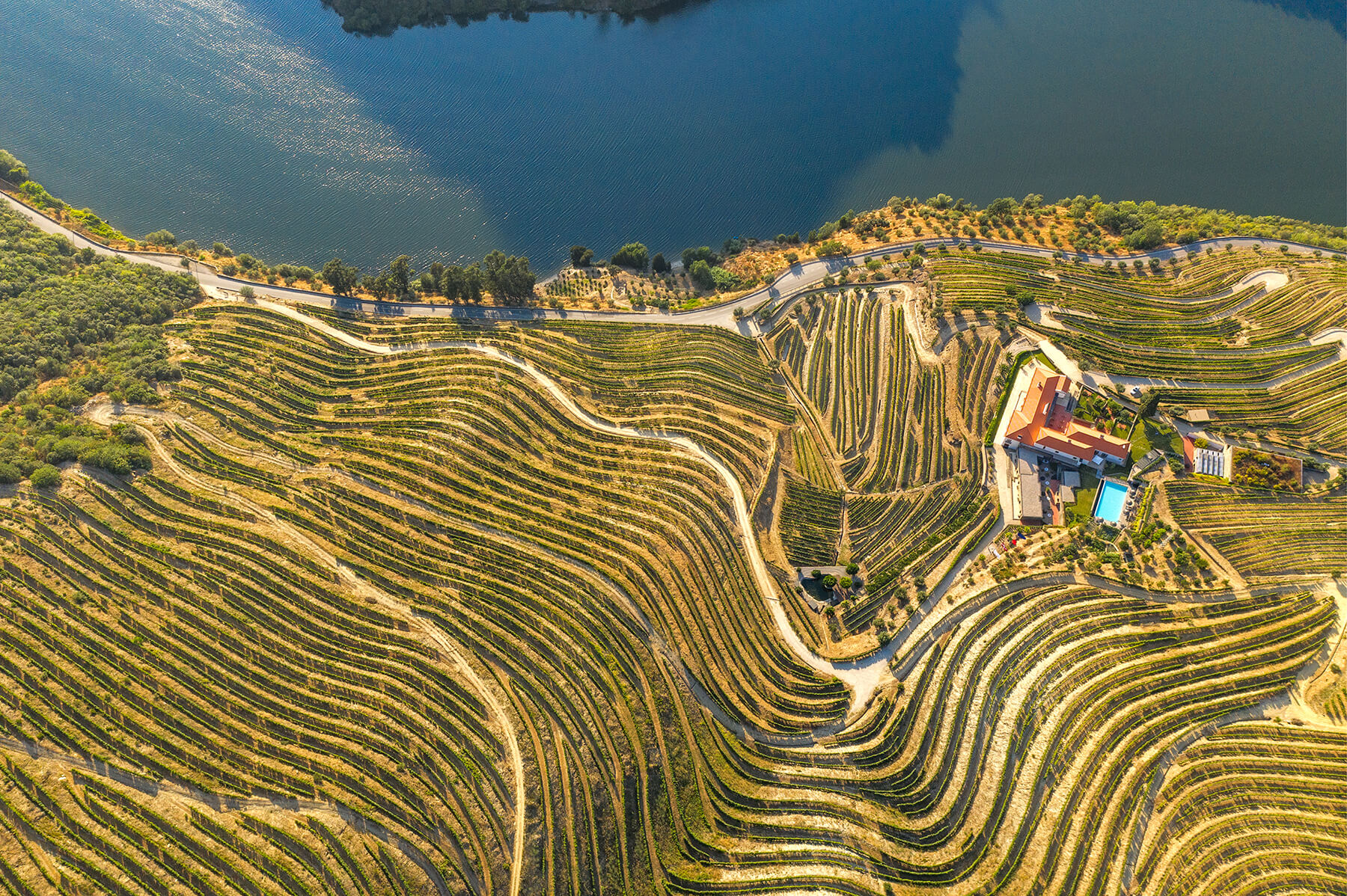 en flod dourodalen med portvinsodlingar
