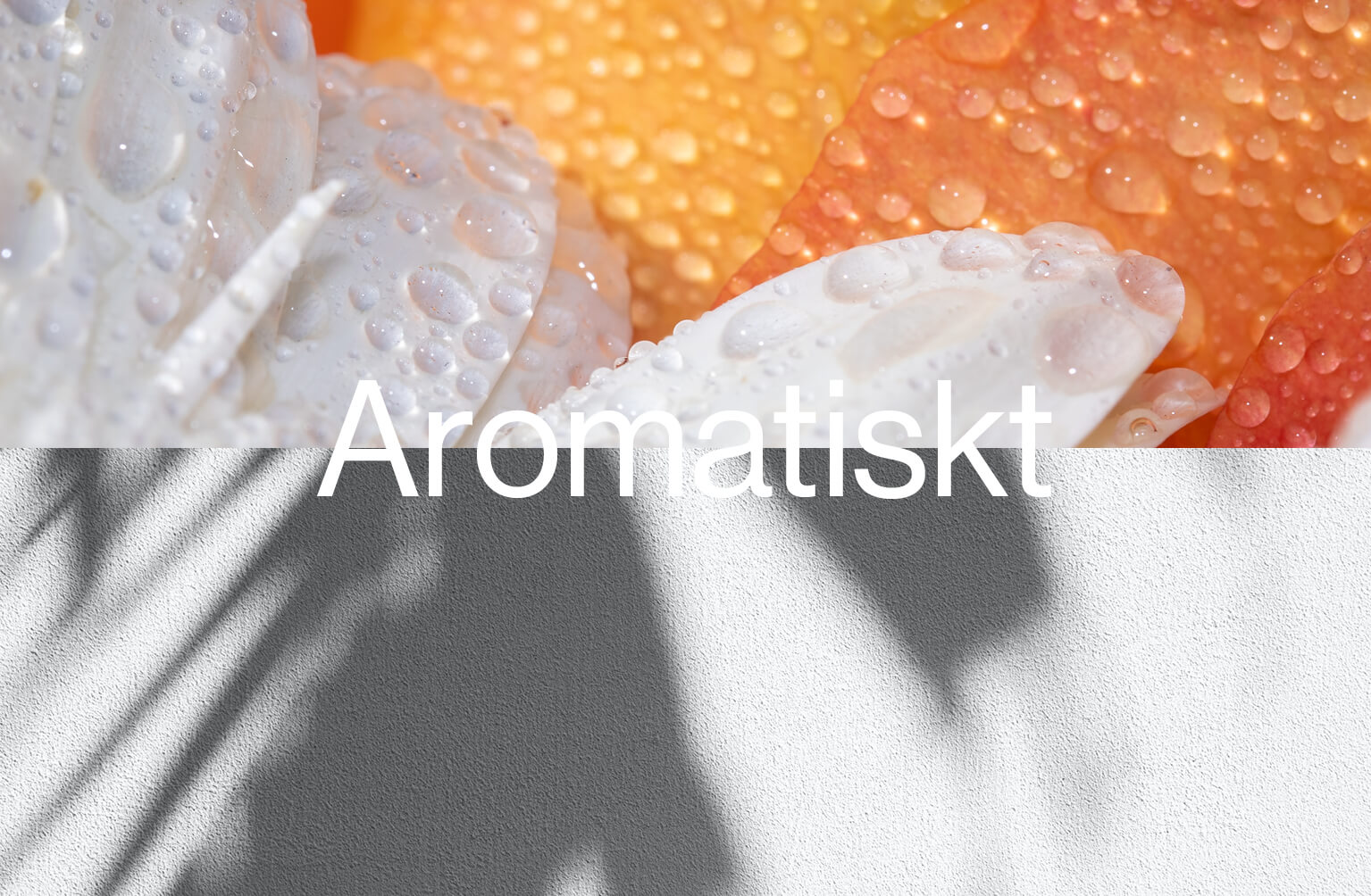 smaktyp aromatiskt med dekorativt möster