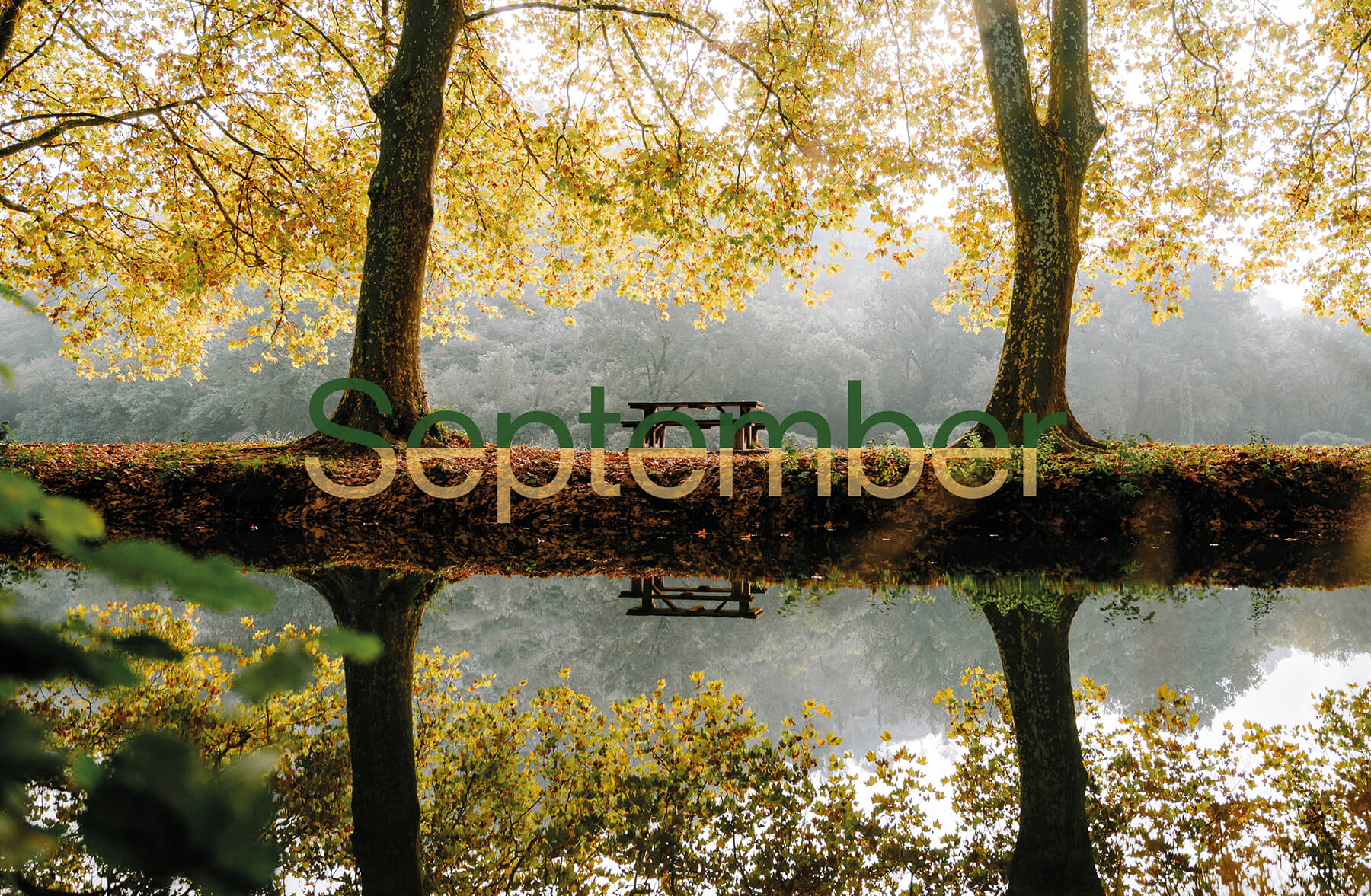 höstbild med september