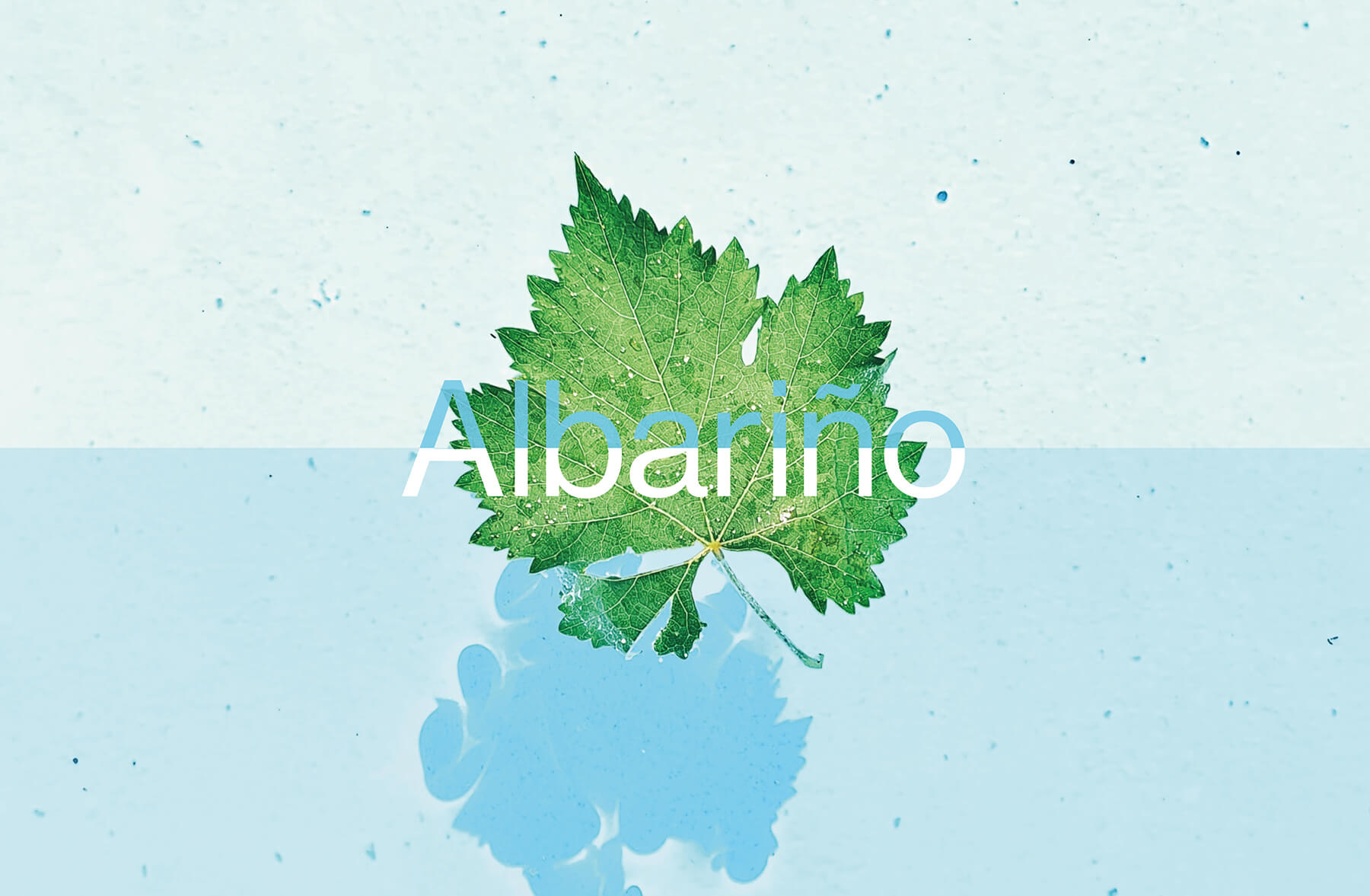 ett löv med från durvan alvarinho