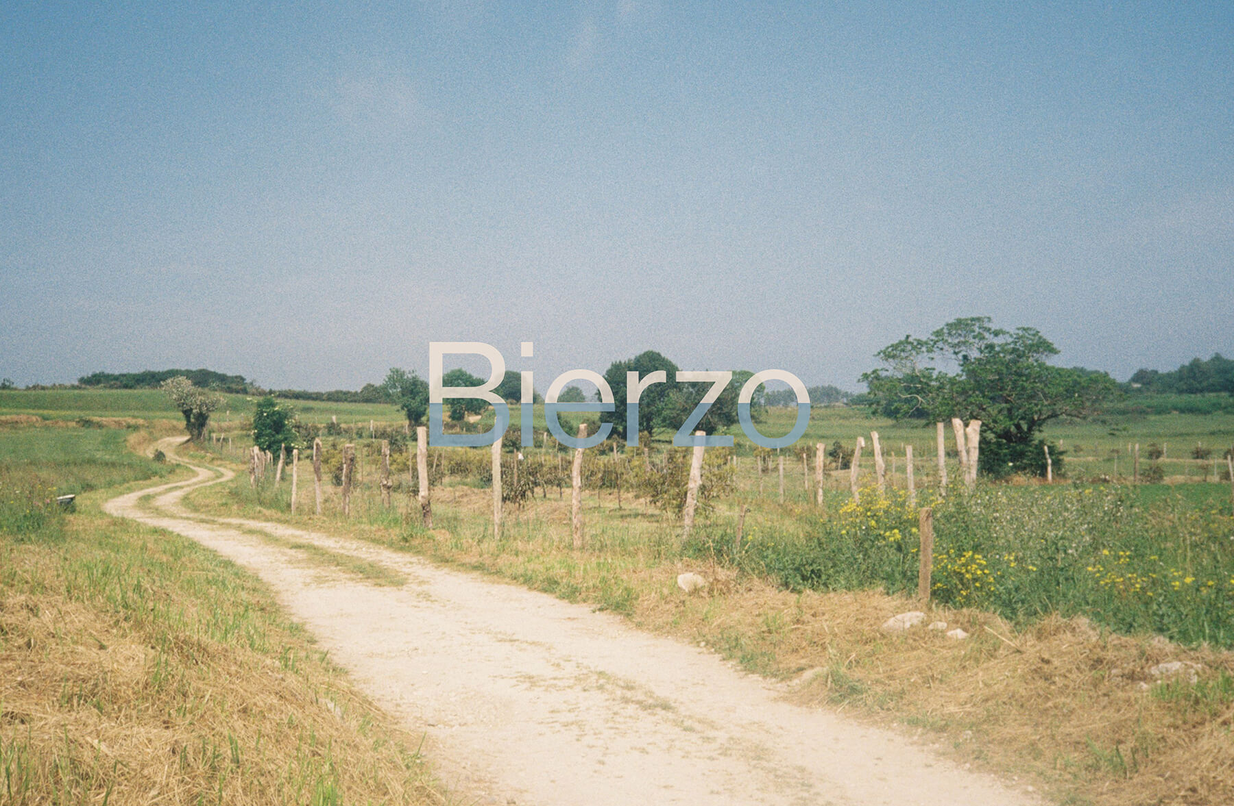 en vingård i spanien från området bierzo