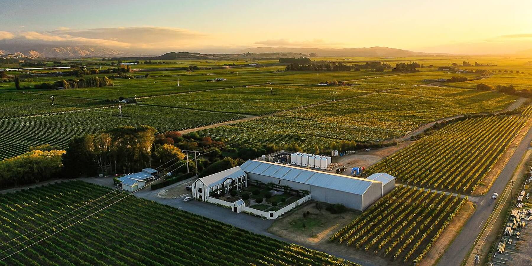 ett vineri på nya zeeland