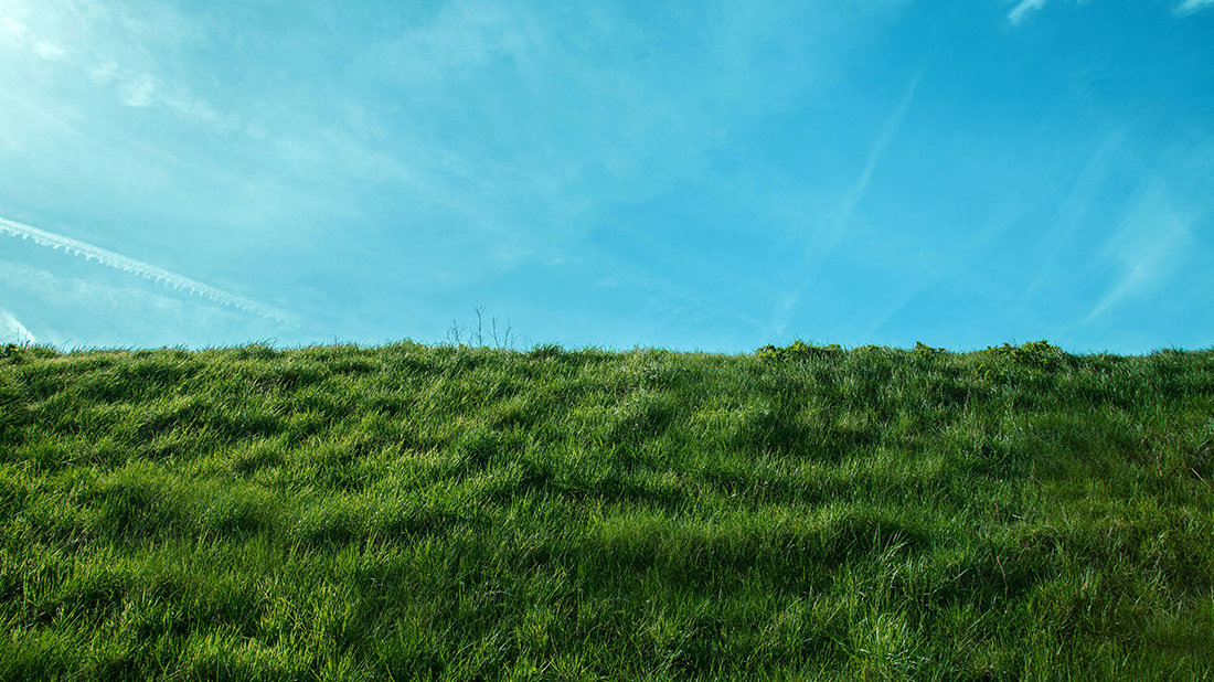 gräs och himmel