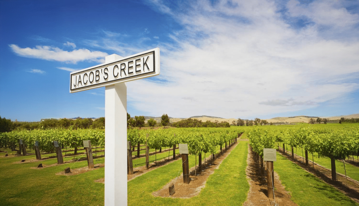 vingård med skylt jacobs creek